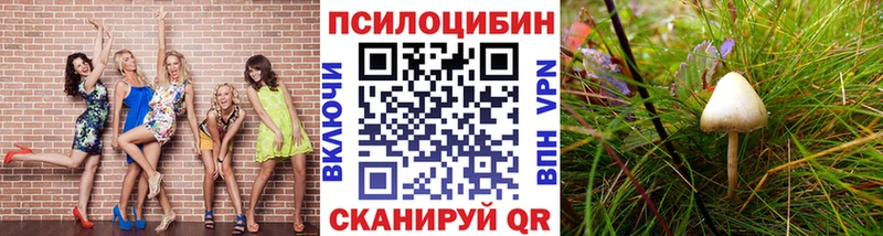 Псилоцибиновые грибы Magic Shrooms купить сайты Камызяк