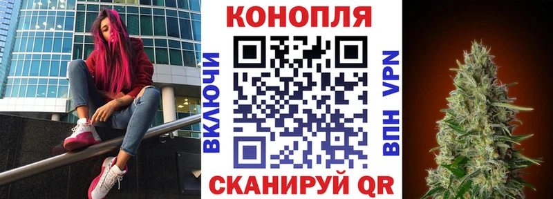 darknet телеграм  Камызяк  Каннабис AK-47 